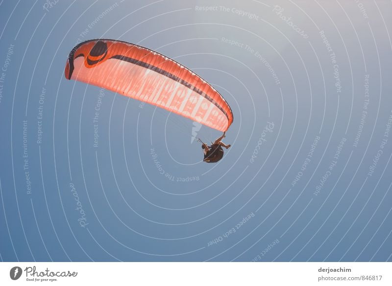 The world from above, red paraglider in the blue sky with pilot. Rainbow Beach. Queensland / Australia Paragliding Vacation & Travel Sports Floating Adults 1