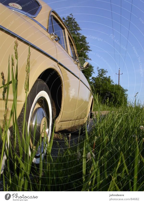 overland with style Meadow Electricity Tree Summer Clearing Car Canopy Glade High voltage power line Country road Green Approach road Village green Back draft