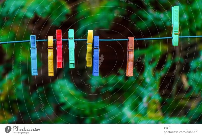 clip Line Work and employment Discover To hold on Hang Make Cleaning Looking Exceptional Cool (slang) Funny Wet Dry Crazy Multicoloured Cleanliness Colour