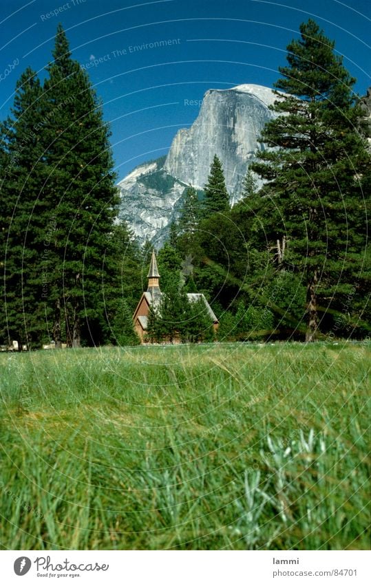 enjoy the view Meadow Vantage point National Park Yosemite National Park Vacation & Travel Leisure and hobbies Glade Clearing Relaxation Green Grass Appearance