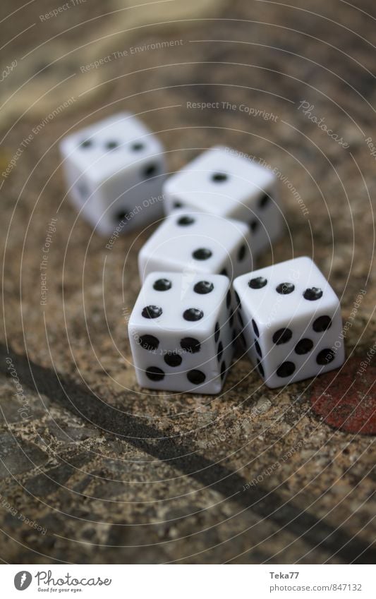 SEVEN - The dice have been cast Stone Sign Digits and numbers Contentment Happy Communicate Dice Playing Board game Colour photo Exterior shot Close-up Detail