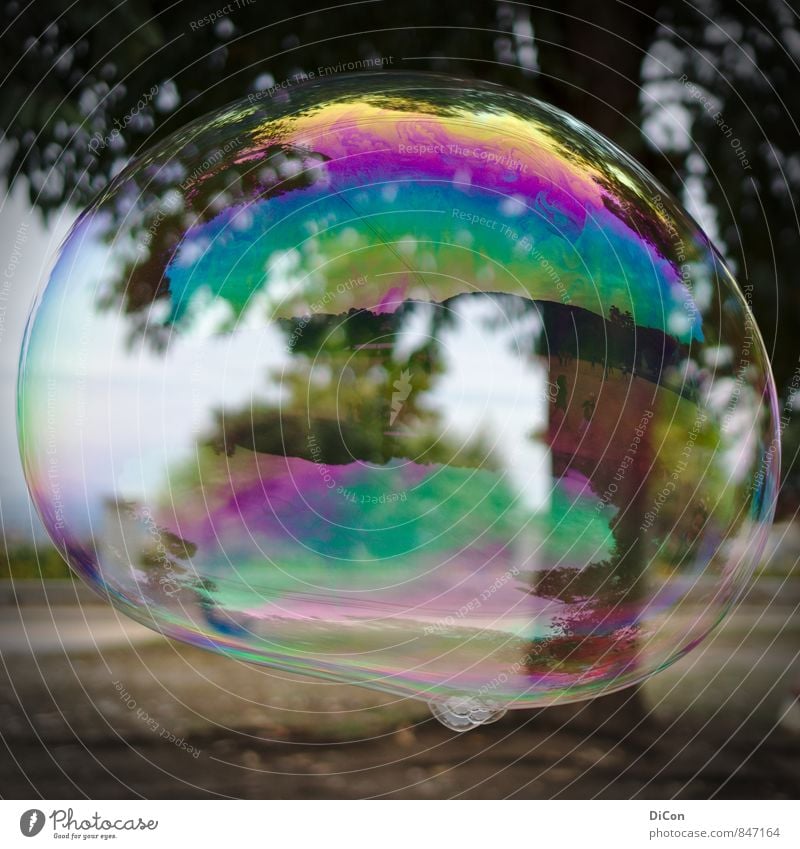 Big dreams Soap bubble Playing Dream Happiness Colour photo Exterior shot Day Reflection Central perspective