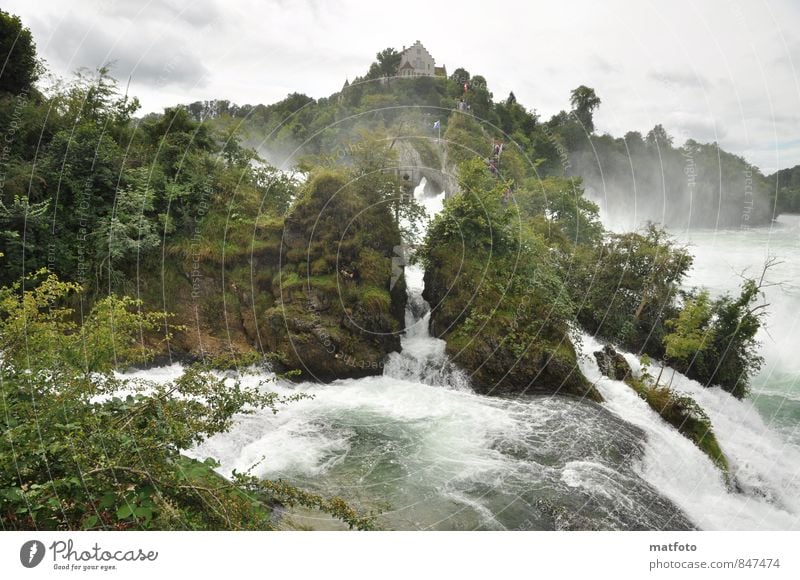 Rhine Falls in Schaffhausen Nature Elements Water Summer Bad weather Rock Mountain River bank Waterfall Deserted Tourist Attraction Fluid Gigantic Historic