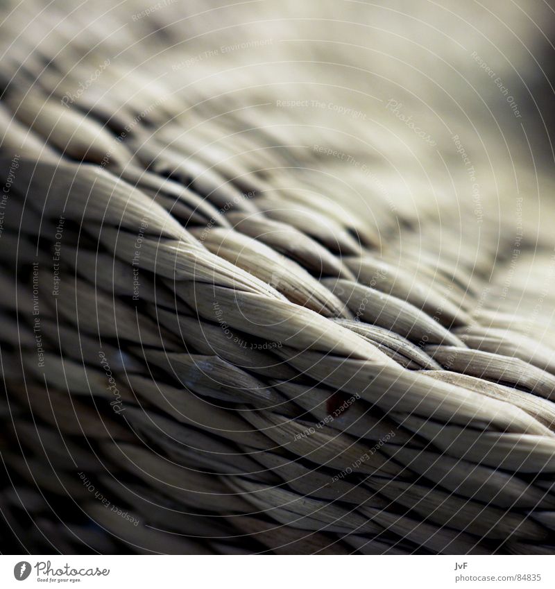 [Bored in bathroom] Woven Basket Reticular Bast Basket maker Macro (Extreme close-up) Near Detail Nature Structures and shapes Gloomy Pallid Gully Boredom