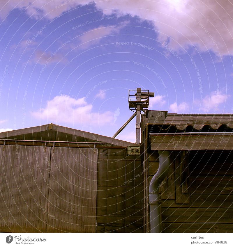 Country Egg Kitsch Barn Resettlement farm Sliding gate Footpath Bushes Autumn Clouds in the sky Physics Closing time Completed Work and employment