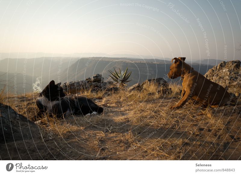 but you're not getting too close. Vacation & Travel Tourism Trip Adventure Far-off places Freedom Mountain Environment Nature Landscape Sky Cloudless sky