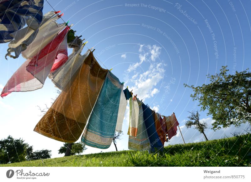 dry zone Style Joy Garden Sun Rotate Elegant Friendliness Happiness Fresh Blue Happy Euphoria Optimism Power Willpower Brave Determination Clothesline