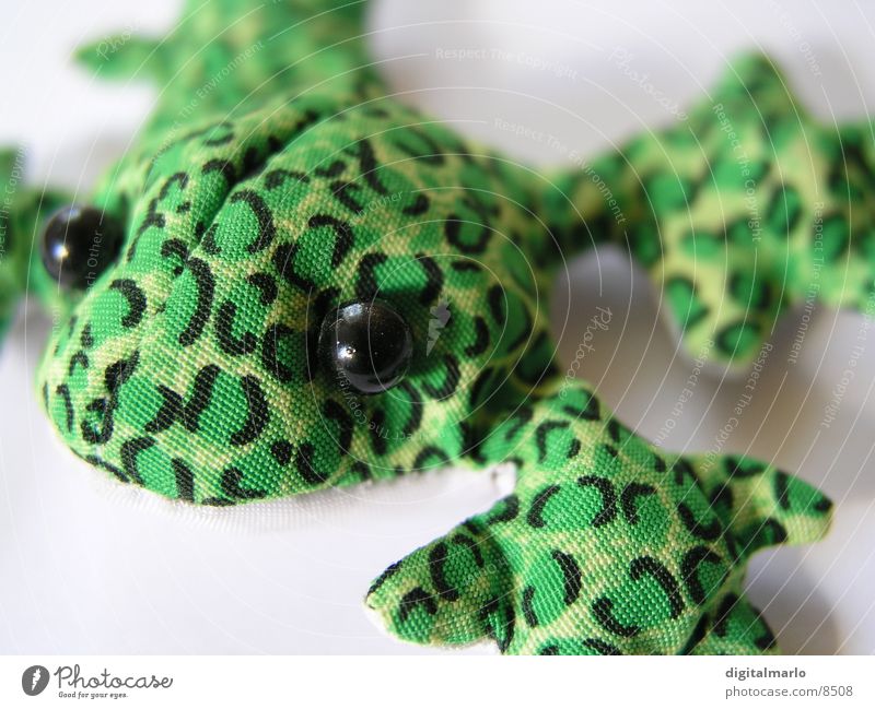 froggy Cloth Animal Green Small Frog Macro (Extreme close-up)