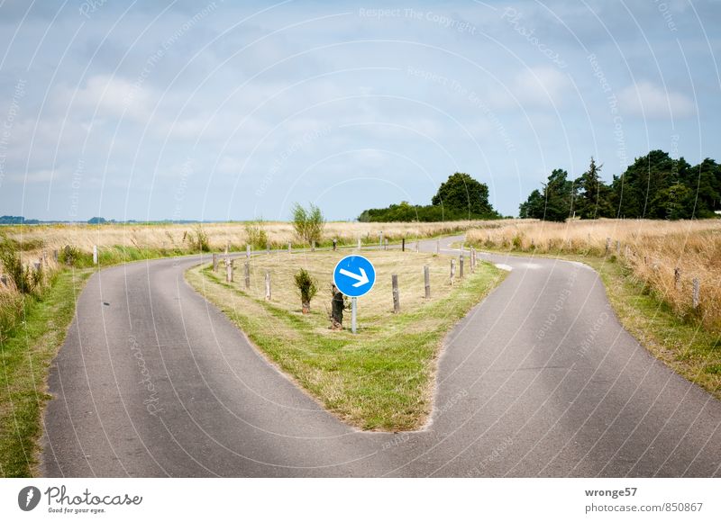 The right way. Street Road sign Blue Gray Green Roadside Street refuge direction of travel Prescribed direction of travel Rural Horizon Clouds Clouds in the sky