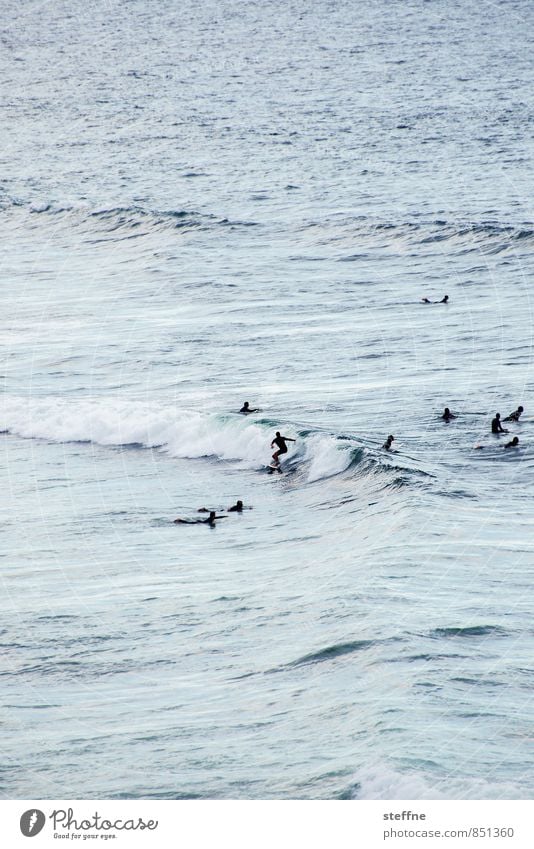 surfin' USA Nature Water Sunrise Sunset Beautiful weather Waves Ocean Pacific Ocean San Francisco Sports Surfing Surfer Colour photo Exterior shot