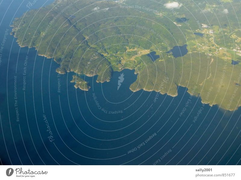 country in view Nature Landscape Summer Beautiful weather Forest Hill Coast Fjord Ocean Norway Aviation View from the airplane Far-off places Under Blue