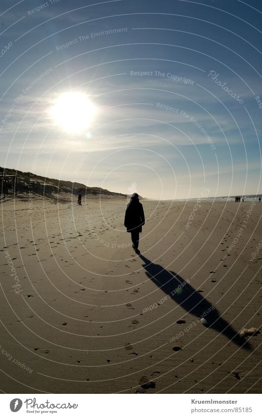 strolling Woman Sylt Beach Beautiful Ocean Human being Empty Clouds Sky Sun Lighting Pleasant Physics Winter Footprint Hill Dream Gorgeous Earth Sand