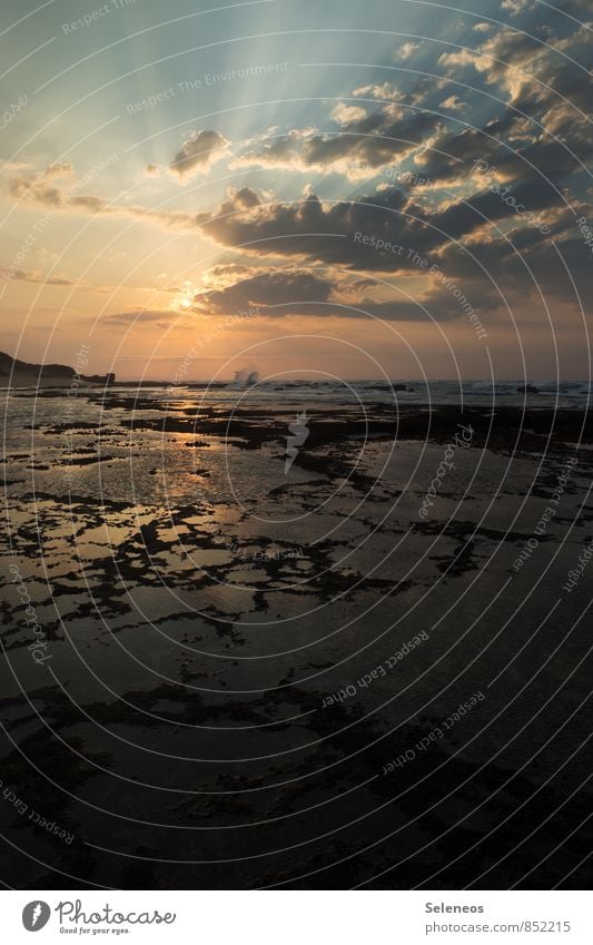 low tide in the morning Vacation & Travel Tourism Trip Far-off places Freedom Summer Summer vacation Sun Sunbathing Beach Ocean Environment Nature Landscape