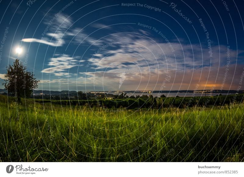 Lake Constance in moonlight Vacation & Travel Tourism Trip City trip Summer Summer vacation Nature Landscape Water Clouds Moon Beautiful weather Tree Grass