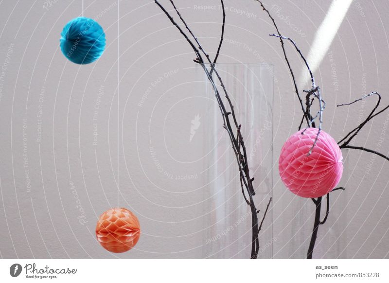 deco Elegant Style Design Living or residing Flat (apartment) Interior design Decoration Branch Hang Esthetic Hip & trendy Round Orange Pink Turquoise Colour