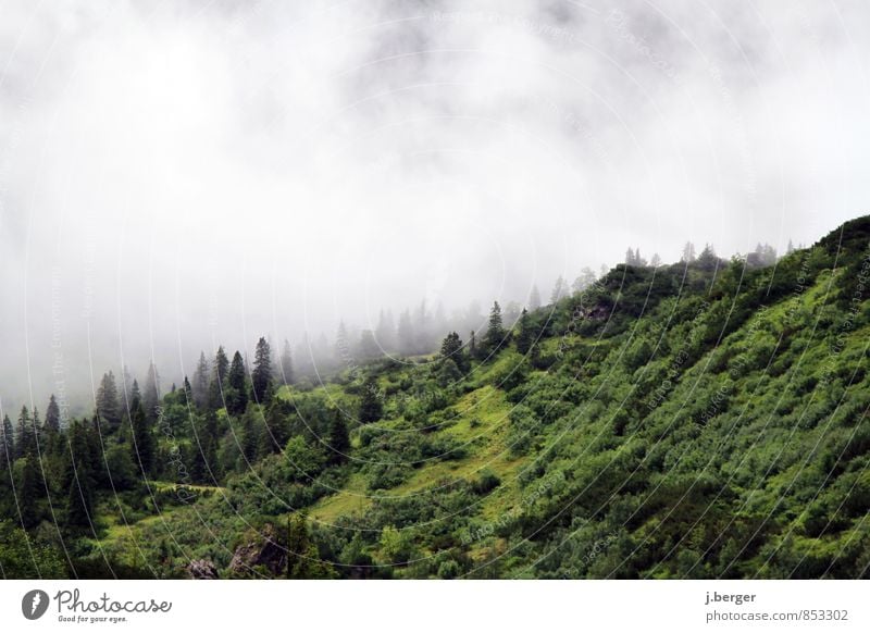 let off steam Mountain Hiking Nature Landscape Plant Air Clouds Summer Bad weather Fog Rain Forest Hill Alps Creepy Wet Green White Adventure Allgäu Alps