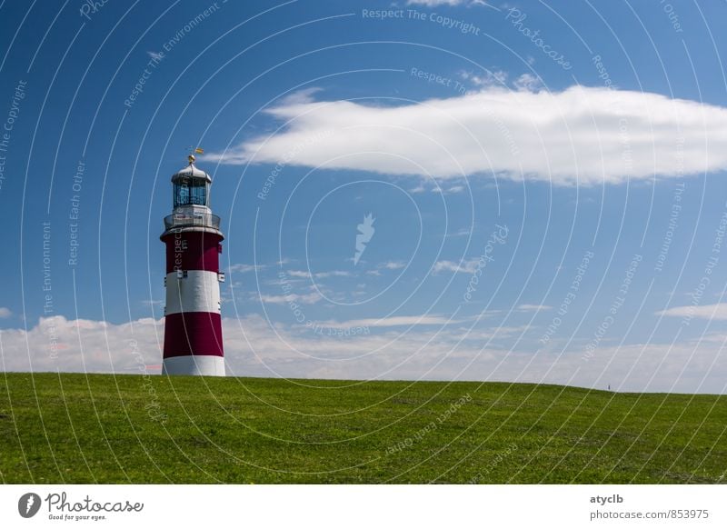 Smoking Lighthouse Air Clouds Summer Beautiful weather North Sea Tower Tourist Attraction Monument Navigation Harbour Freedom Leisure and hobbies Nostalgia