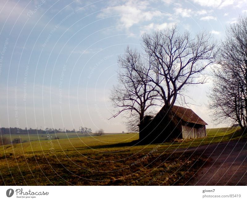 romance black forest Black Forest Romance Field Snowscape Tree without leaves Landscape Blue sky blank field Perspective