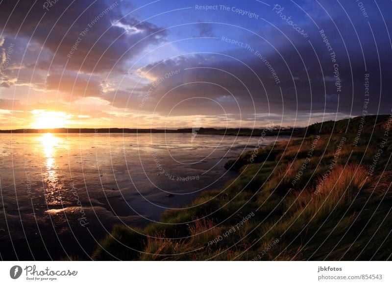 ICELAND / Borgarnes II Environment Nature Landscape Plant Water Beautiful weather Rock Coast Iceland Tide sunset Tuft of grass Colour photo Evening Twilight