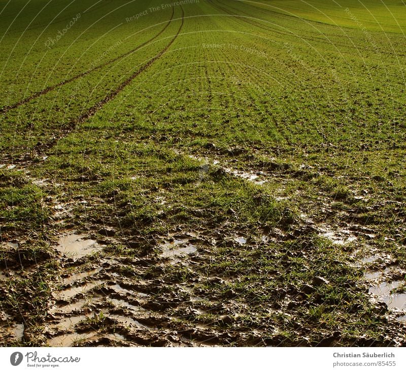 Follow the green 1 Air Field Green Meadow Contract Green space Agriculture Grass Planet Clouds XP stephen king Landscape windows Paradise Pasture Lawn