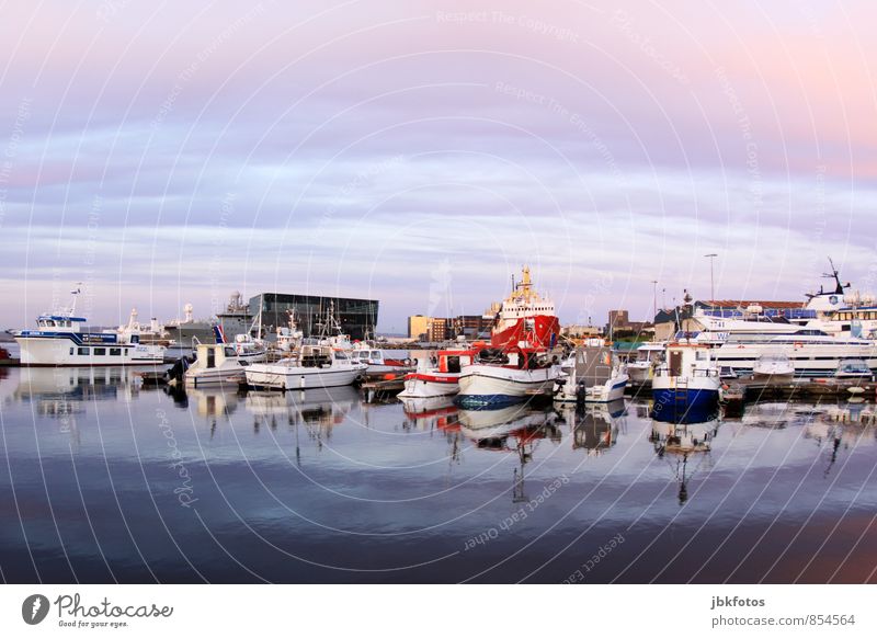 ICELAND / Reykjavik Sports Aquatics Sailing Environment Nature Landscape Wind Style Reykjavík Iceland Port City Capital city Harbour reflection Watercraft