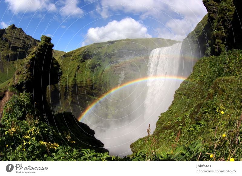 Skógarfoss Hiking Environment Nature Landscape Plant Elements Water Drops of water Summer Beautiful weather Moss Rock Mountain Glacier Canyon River Waterfall