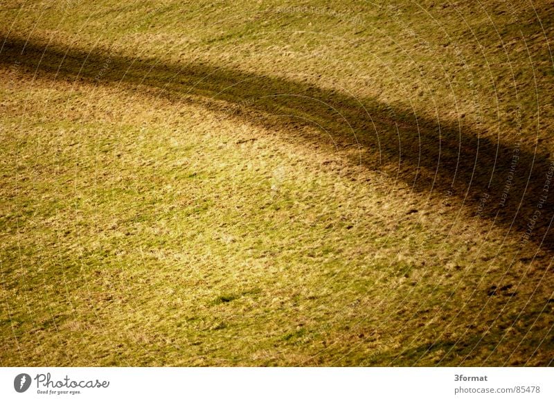 dirt road Agriculture Field Structures and shapes Lanes & trails Footpath Loneliness Remote Grass Green Badlands Carpet Mud Marsh Green space Meadow Bog Lawn