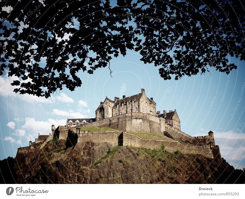 The Castle Museum Architecture Leaf Hill Rock Edinburgh Edinburgh Castle Great Britain Scotland Europe Town Capital city Downtown Manmade structures Building