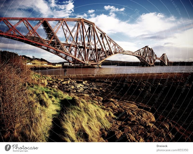 bridge Water Sky Sunlight Autumn Bushes Moss Fern Coast River bank Village Fishing village Outskirts Bridge Traffic infrastructure Passenger traffic Logistics