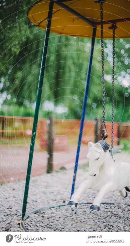 Swing you horse Rocking horse Playground Childhood dream Hang Going Old Joy Childlike Youth (Young adults) Blur Dreamily Multicoloured Horse Toys Colour photo