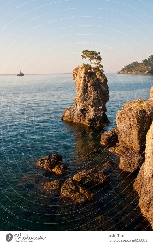 EINBAUM Landscape Tree Rock Waves Coast Bay Reef Ocean Yacht Motorboat Kitsch Individual Rock formation Vacation & Travel Italy Portofino Relaxation Calm