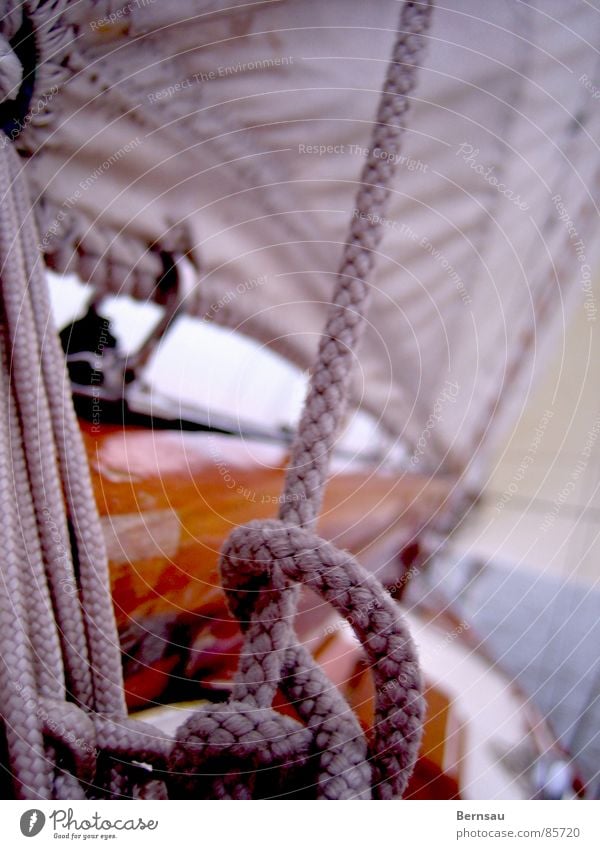 sailing vessel Lake Mahagony Ijsselmeer Ocean Sailing Wood Watercraft Summer Attach Fastening Waves Loneliness Netherlands Physics Cold Sailing trip