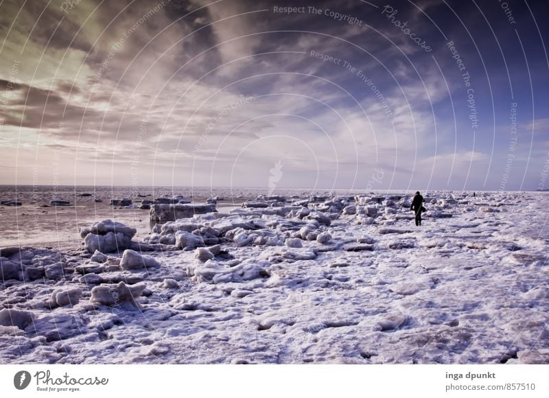 snowy beach Environment Nature Elements Sky Clouds Sunrise Sunset Winter Climate Climate change Beautiful weather Ice Frost Snow Coast North Sea Ocean Island