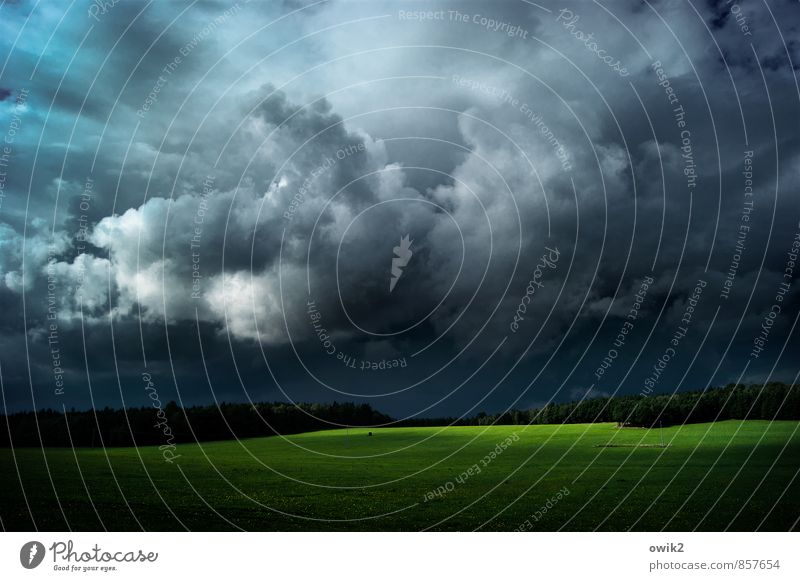 Cumulus with Green Strip Far-off places Environment Nature Landscape Plant Sky Clouds Storm clouds Horizon Climate Weather Beautiful weather Wind Grass Meadow