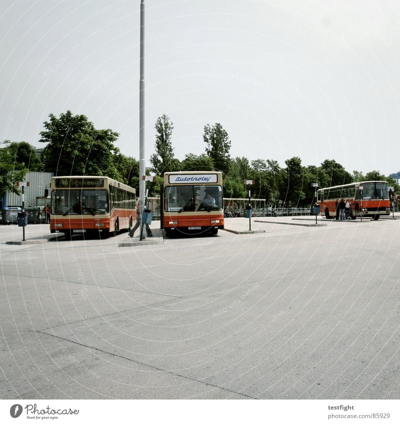 bus stop Bus stop Tar Asphalt Vehicle Driving In transit South Mediterranean Homesickness Wanderlust Loneliness Town Doomed Train station