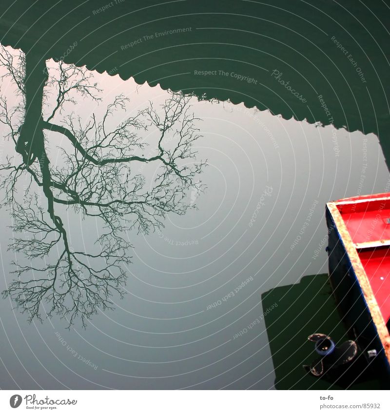 Tree Boat Watercraft Mirror Inverted Venice River Brook Sky Detail Part Difference