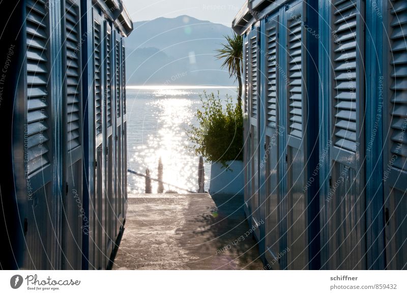 bathing day Wellness Well-being Relaxation Calm Swimming & Bathing Leisure and hobbies Vacation & Travel Tourism Summer Summer vacation Sun Sunbathing Beach