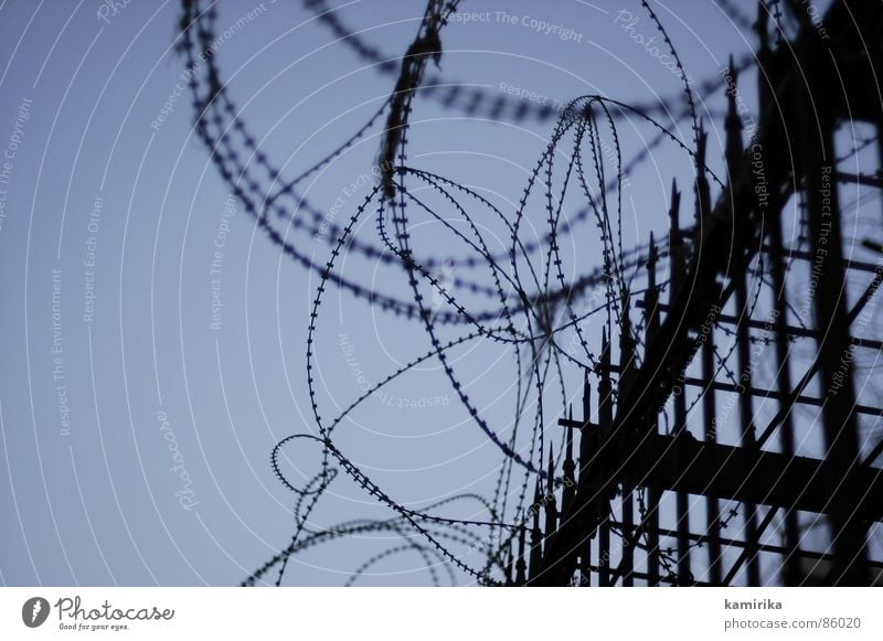 security fence Fence Barbed wire Israel Confine Exclude Detail Protection Gaza West Bank palaestine