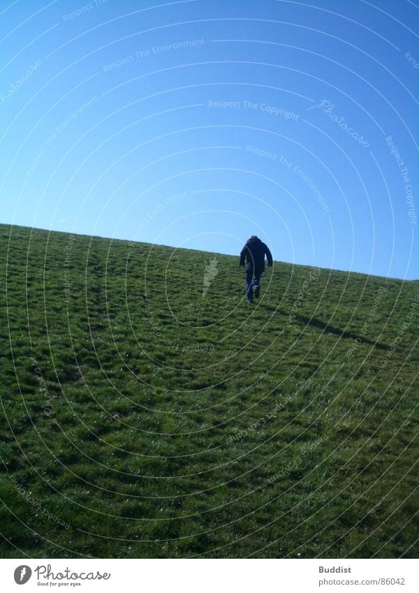 freedom Autumn Summer Dike Meadow North Sea Beach dune Sky Escape