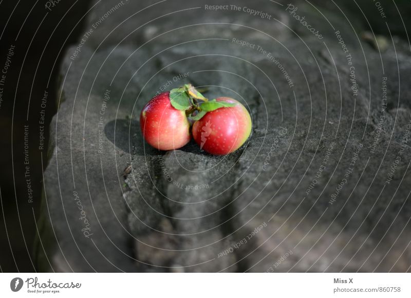 Together Food Apple Nutrition Organic produce Vegetarian diet Healthy Eating Autumn Leaf Fresh Juicy Clean Sour Sweet 2 Twin Related Colour photo Multicoloured