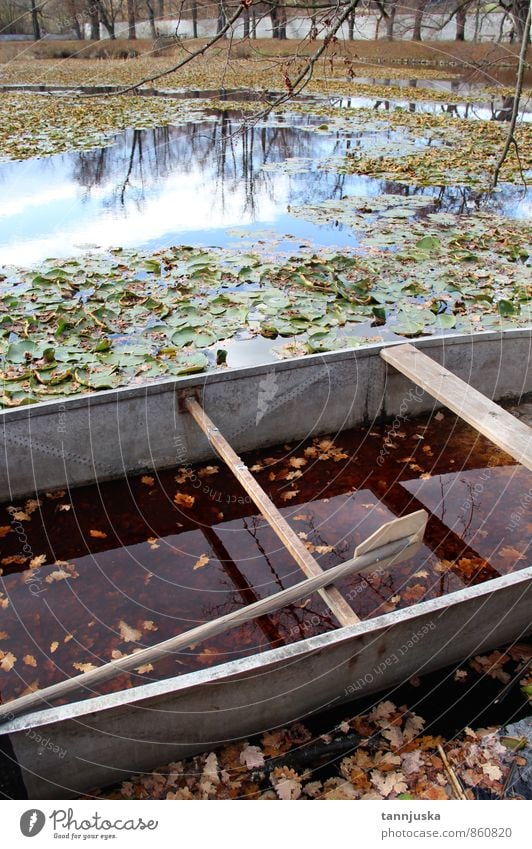 Boat and pond in the autumn forest Beautiful Nature Autumn Weather Tree Leaf Park Forest Pond Lake River Watercraft Bright Yellow Gold Green Romance Colour fall