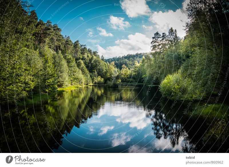 Silent lake Vacation & Travel Trip Summer Mountain Nature Landscape Plant Water Sky Clouds Sun Beautiful weather Tree Grass Bushes Hill Waves Lakeside Pond