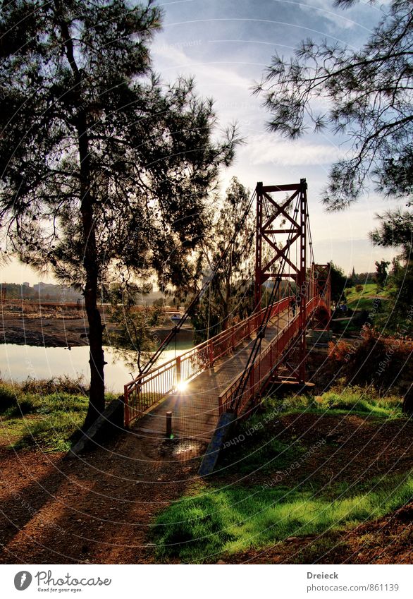 Rusty Gate Bridge Architecture Environment Nature Sunlight Summer Beautiful weather Tree Grass Bushes Leaf Park adana Turkey Europe Town Outskirts