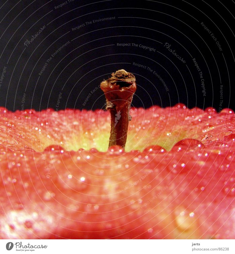 Fresh Vitamins Drops of water Healthy Fuit growing Life Fruit Macro (Extreme close-up) Close-up Apple To enjoy jarts