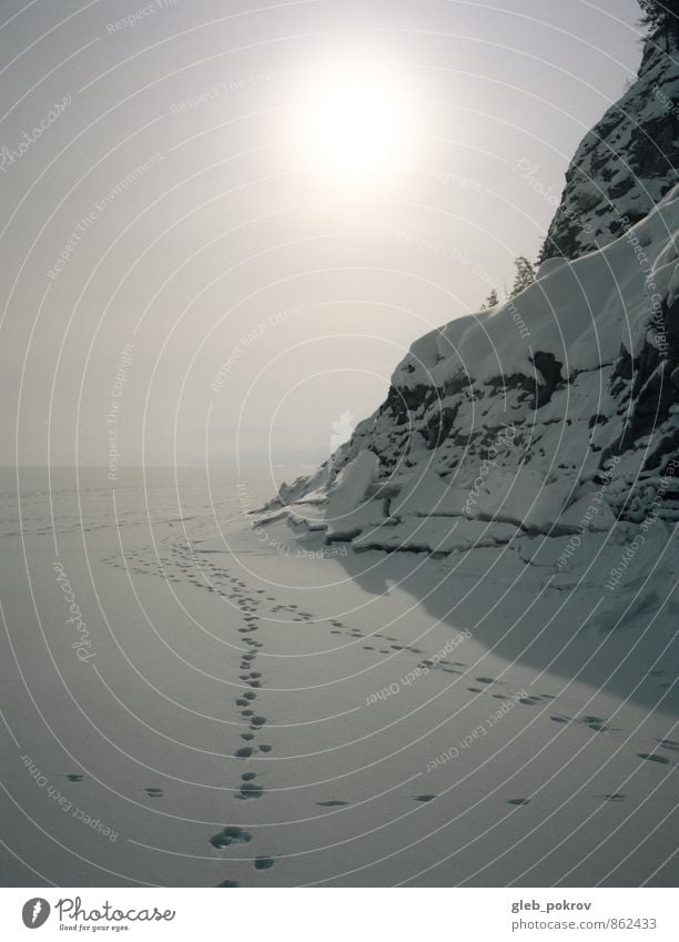 doc #frosted sea Landscape Water Sun Winter Climate change Ice Frost Snow Rock Beach Authentic Gray White Nature Colour photo Exterior shot Deserted