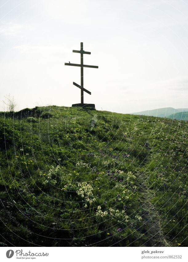 Doc #resting-place Nature Landscape Plant Sky Clouds Summer Beautiful weather Flower Grass Field Mountain Wild animal Bird Orthodoxy cross Happiness Protection