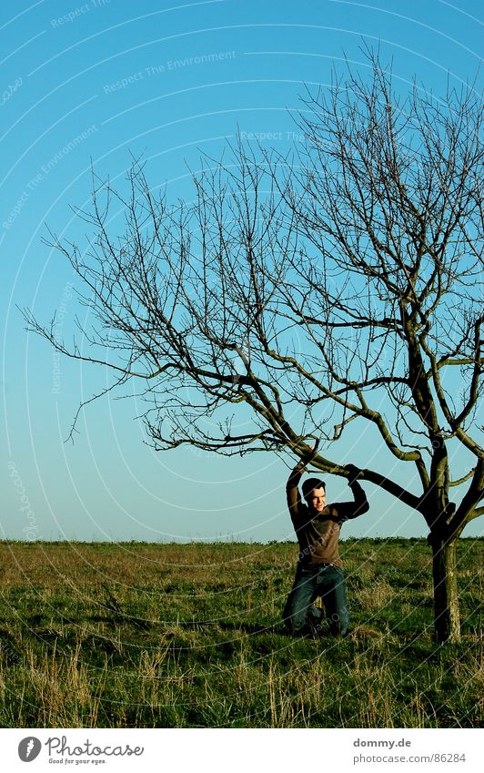 green-blue[hanging] Haste Leather shoes Boredom Leisure and hobbies Spring Summer Green Grass Field Meadow Leaf Vessel Hand Footwear Dreamily Sunbeam