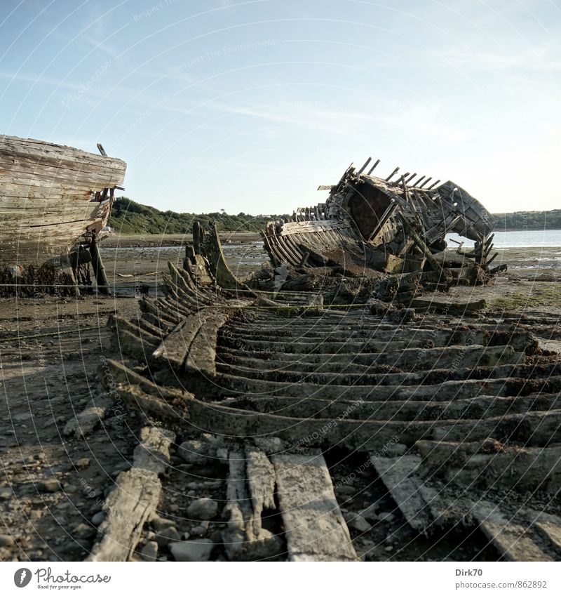 "Shipwreck Cove, on Shipwreck Island..." Summer Beautiful weather Algae Coast Bay Ocean Atlantic Ocean Slick Fishing village ship graveyard Navigation