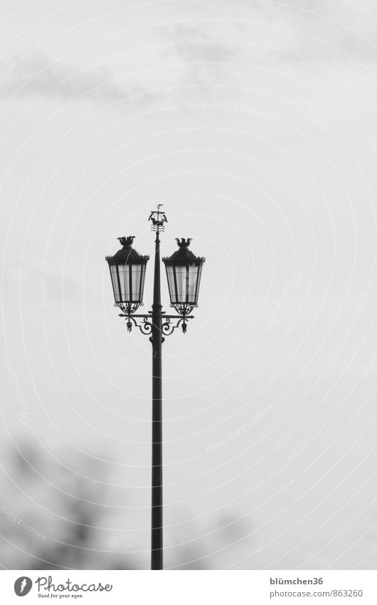 Lantern with charm Lighting Lamp Street lighting Lamp post Illuminate Stand Historic Black White Moody Emotions Romance Town Vacation & Travel Lisbon Portugal