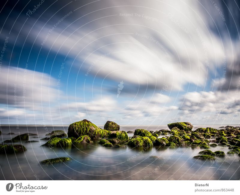 unattached Landscape Water Sky Clouds Sunlight Summer Beautiful weather Coast Baltic Sea Blue Green Black White Algae Stone Warnemünde Colour photo